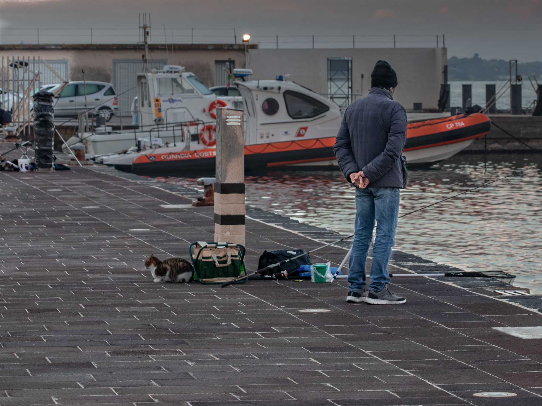 A pesca ci vuole tanta pazienza ... anche per i gatti