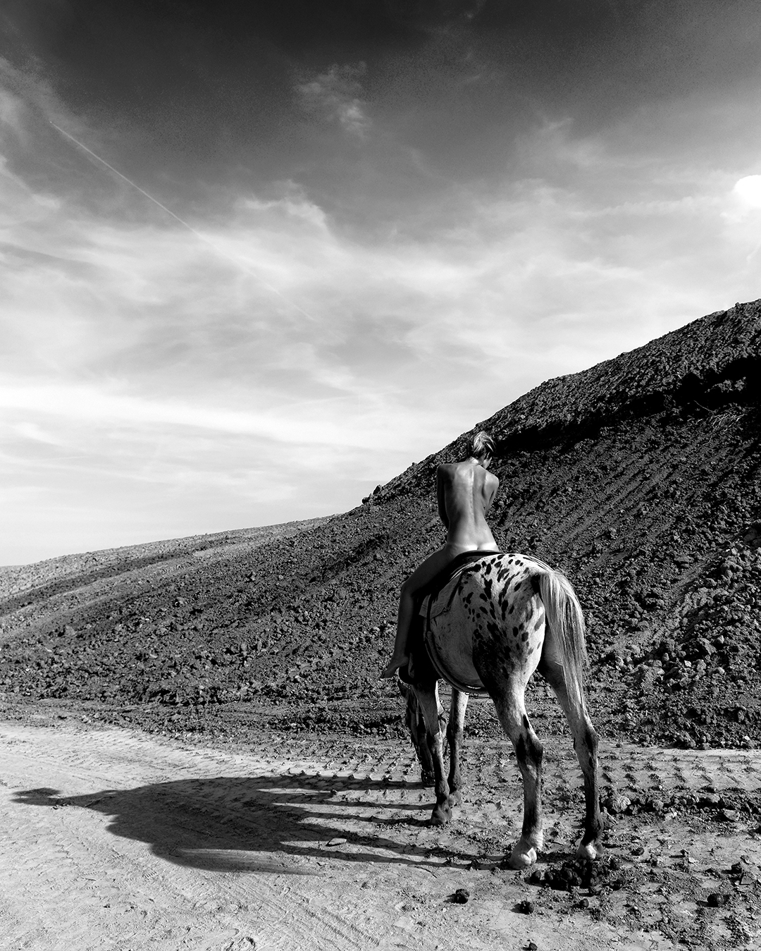 Un cavallo e una ragazza