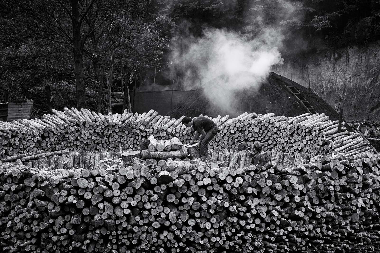 La costruzione della carbonaia - parte prima