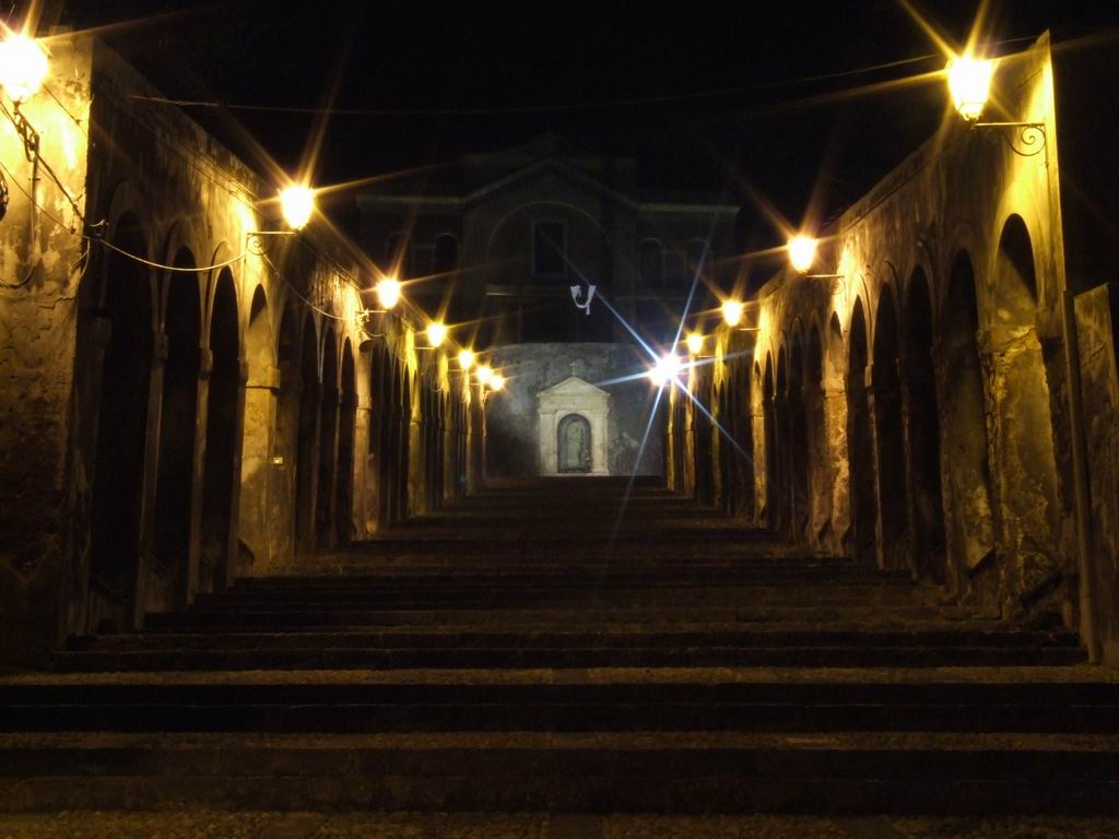 Night7