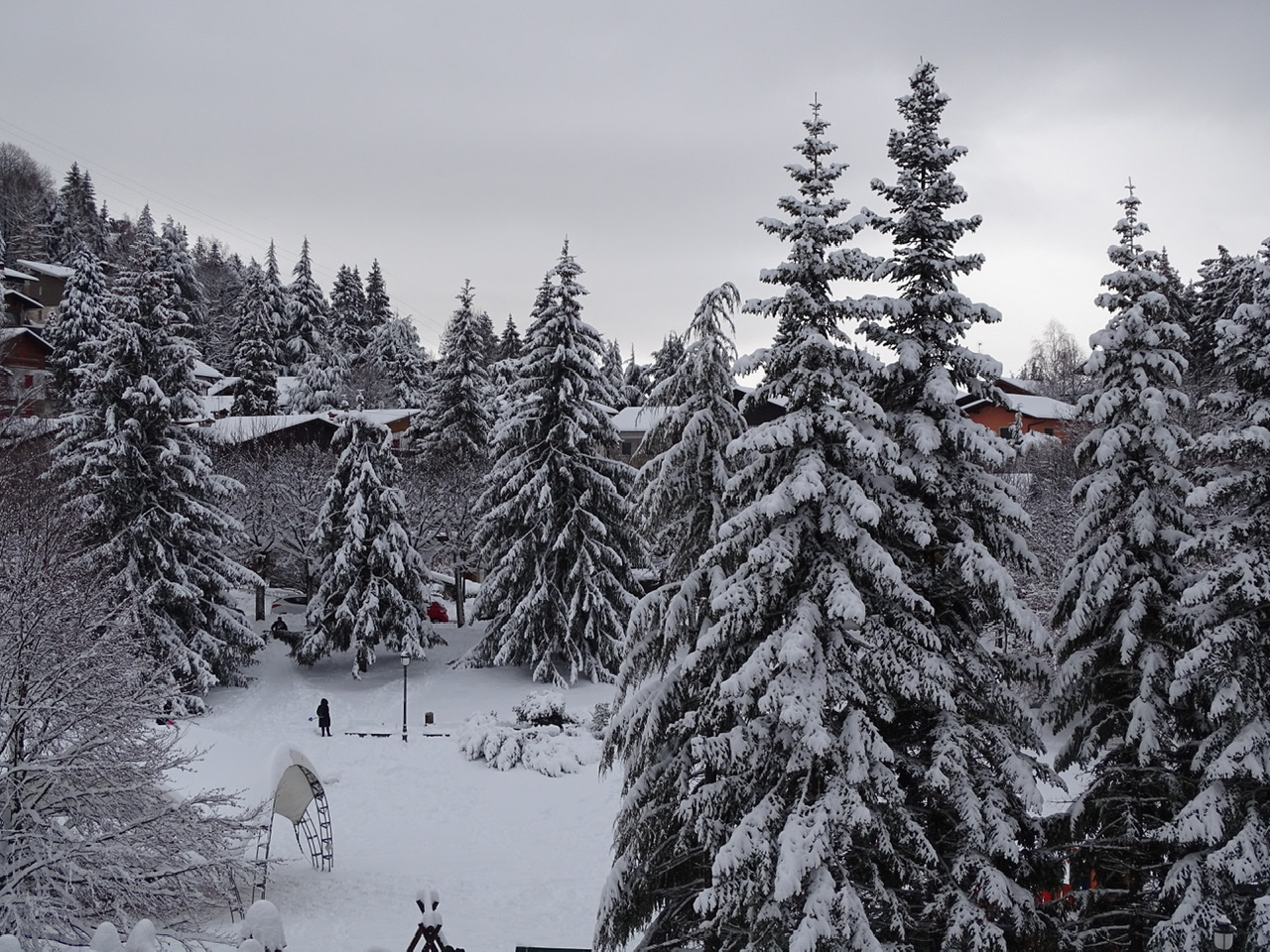 Paesaggio innevato