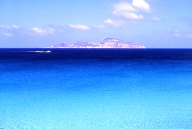 mare