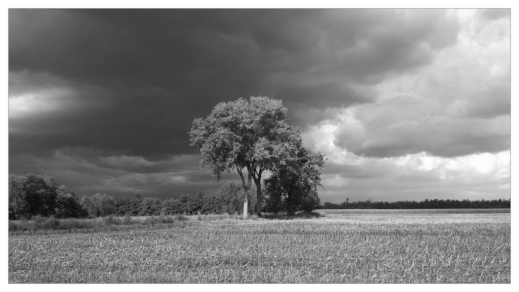 Tempesta