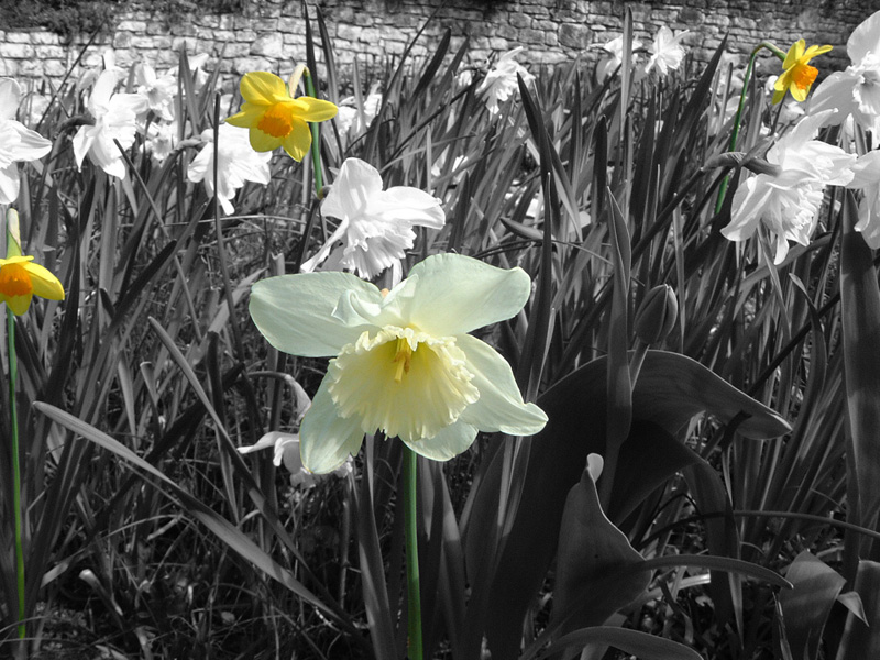 un po' di colore...