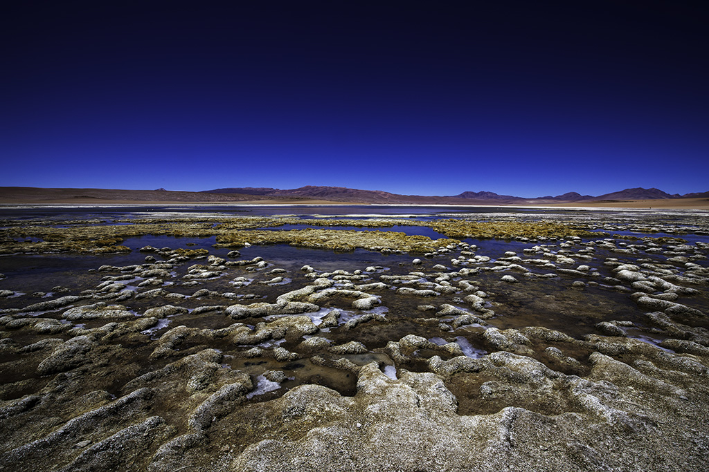Bolivi Laguna