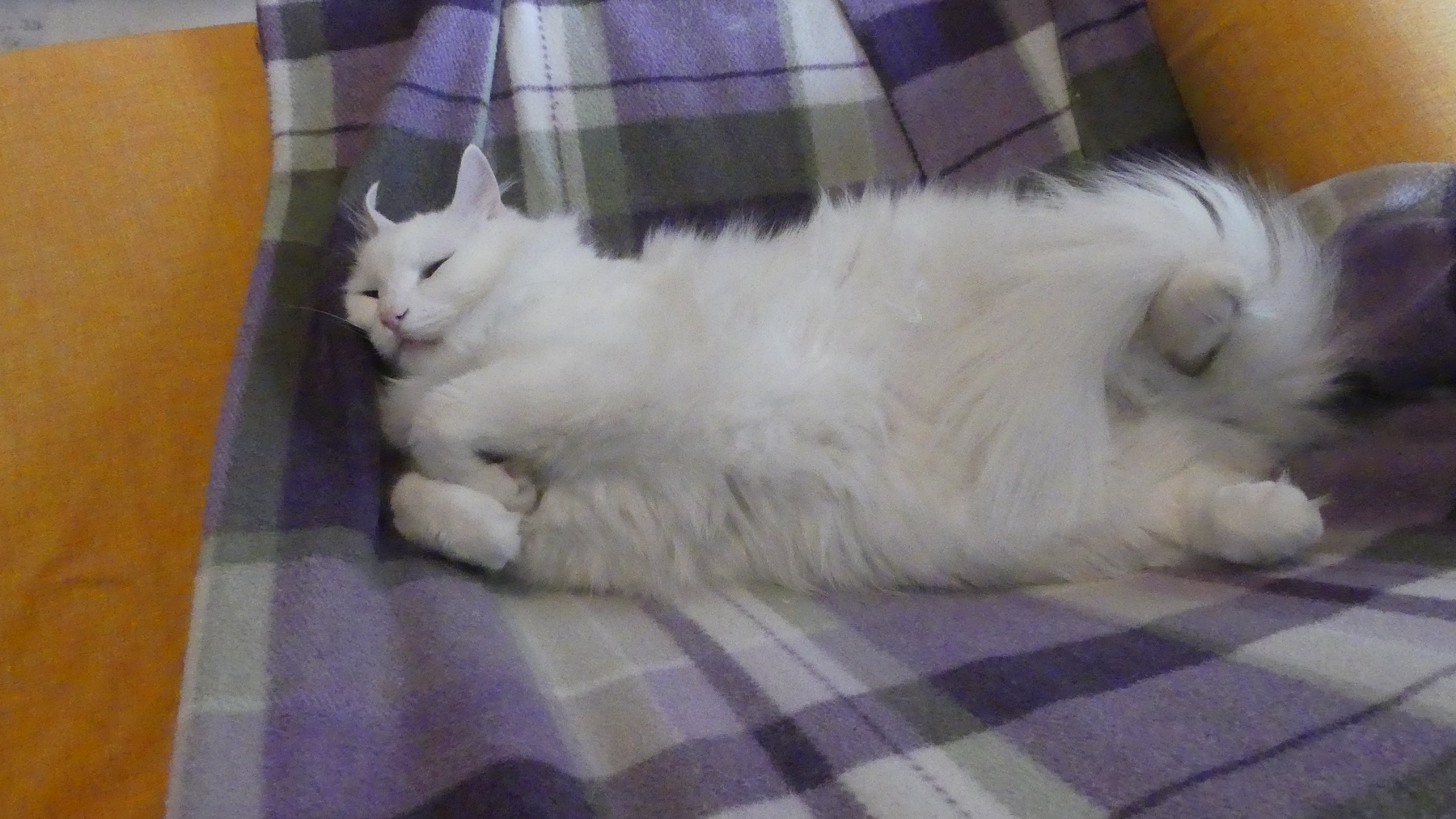 FZ300 Teo 3 ISO3200; 2,8; 1/125s