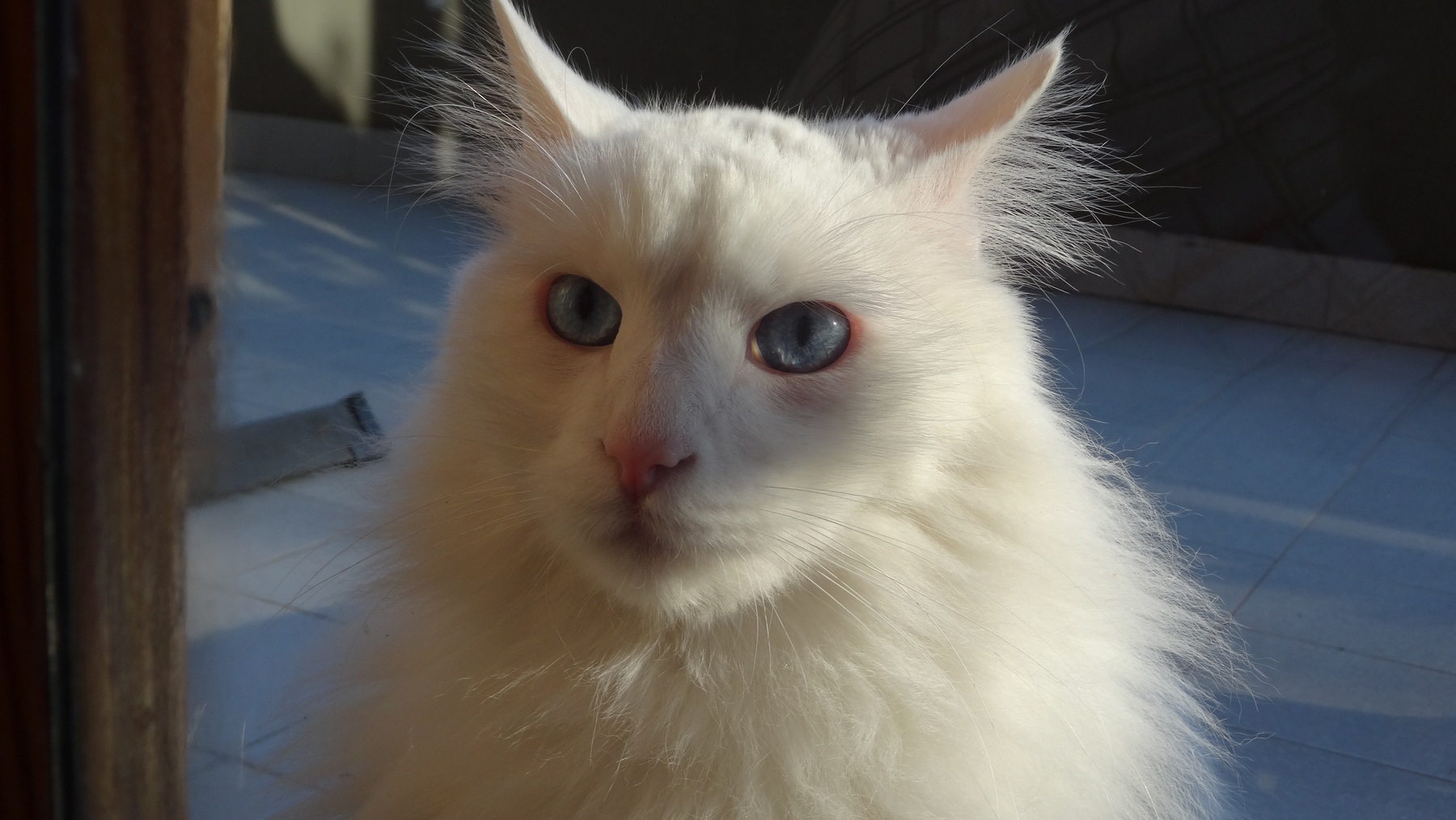 HX50 Teo 4 ISO80; 4,5; 1/200s