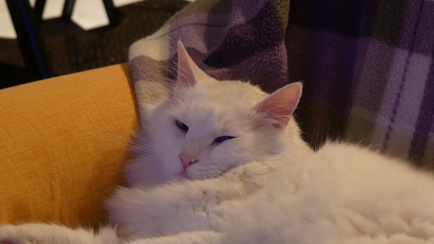 FZ300 Teo 5 ISO100; 2,8; 1s