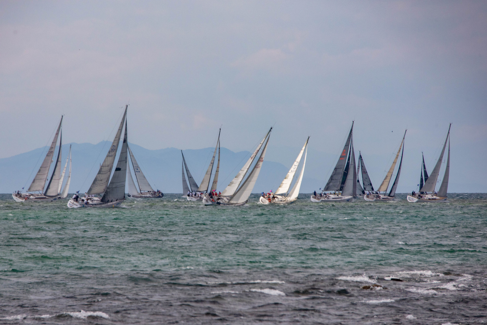 REGATA5