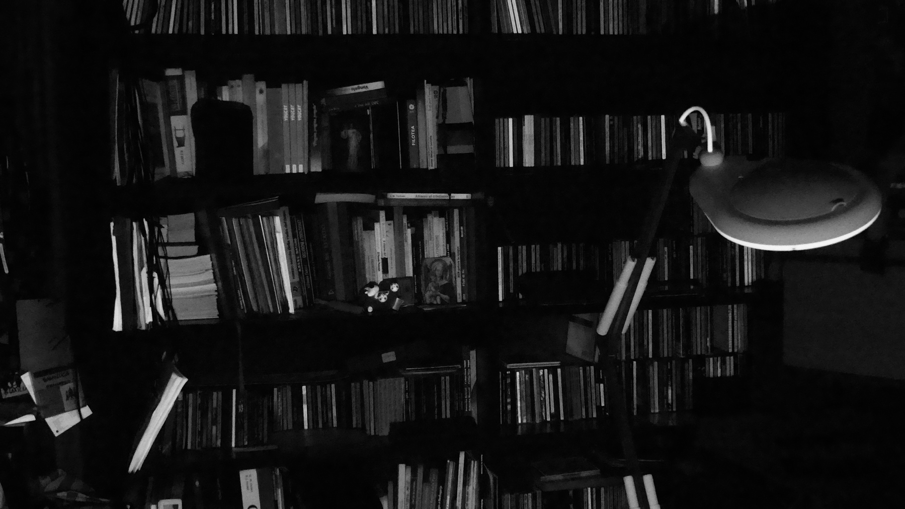 Musica e parole al chiaro di luna