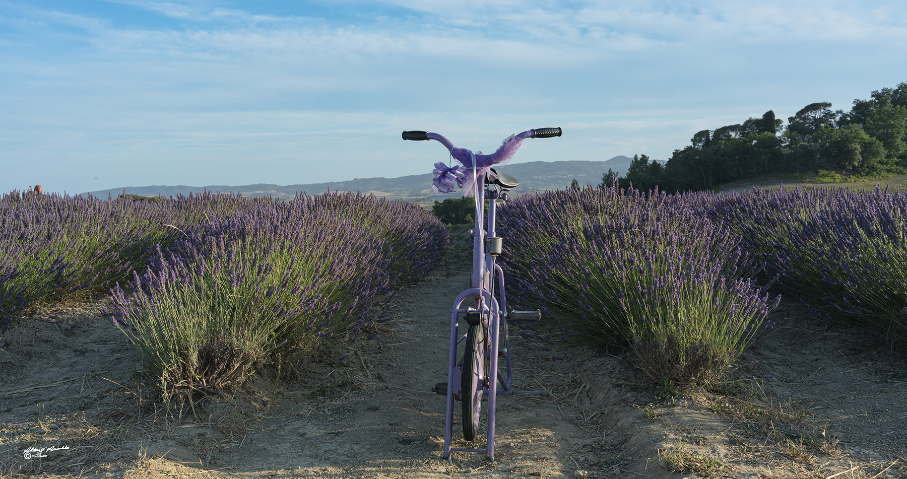 la Bicicletta..