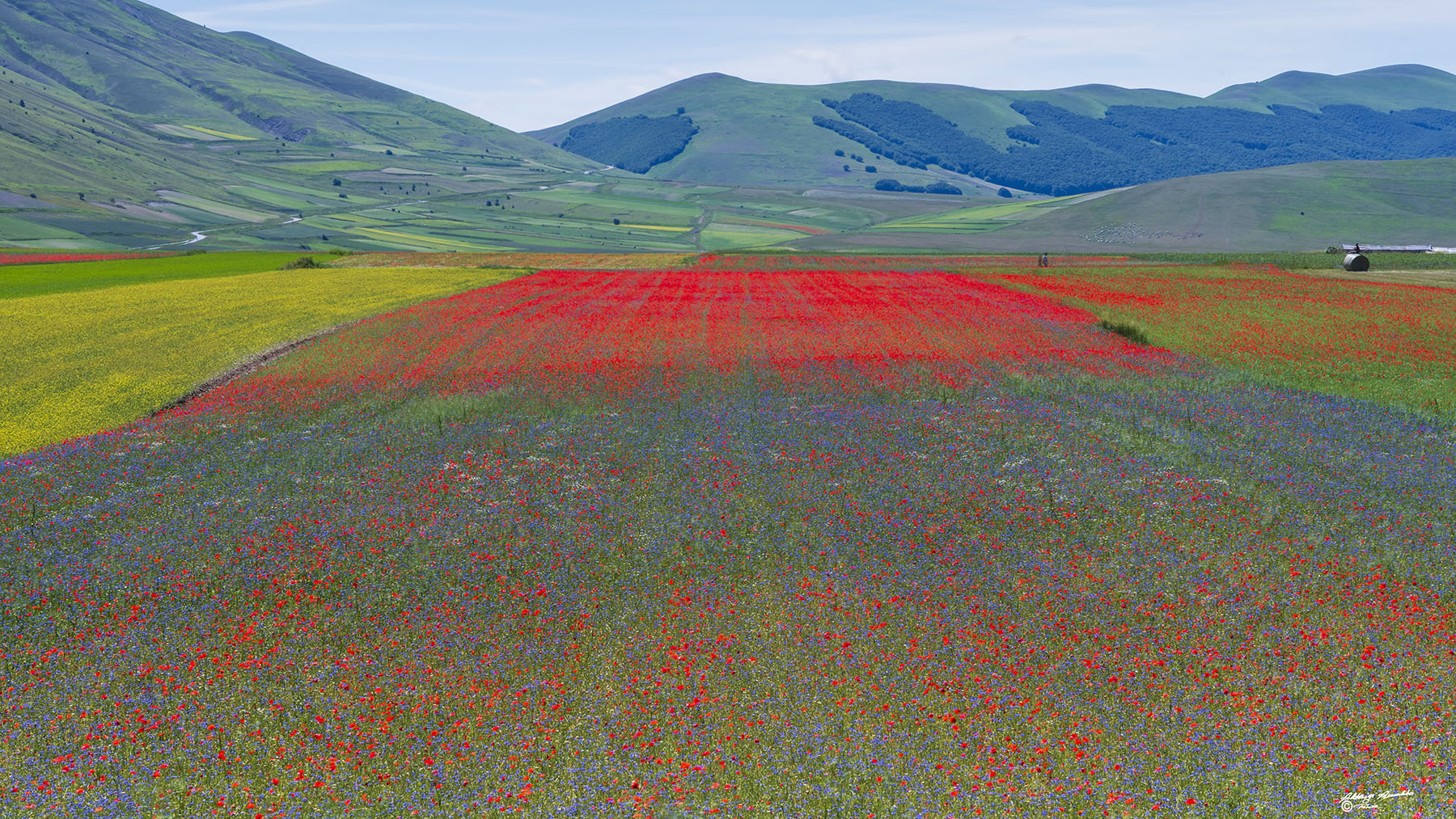 I colori della piana di Castelluccio.