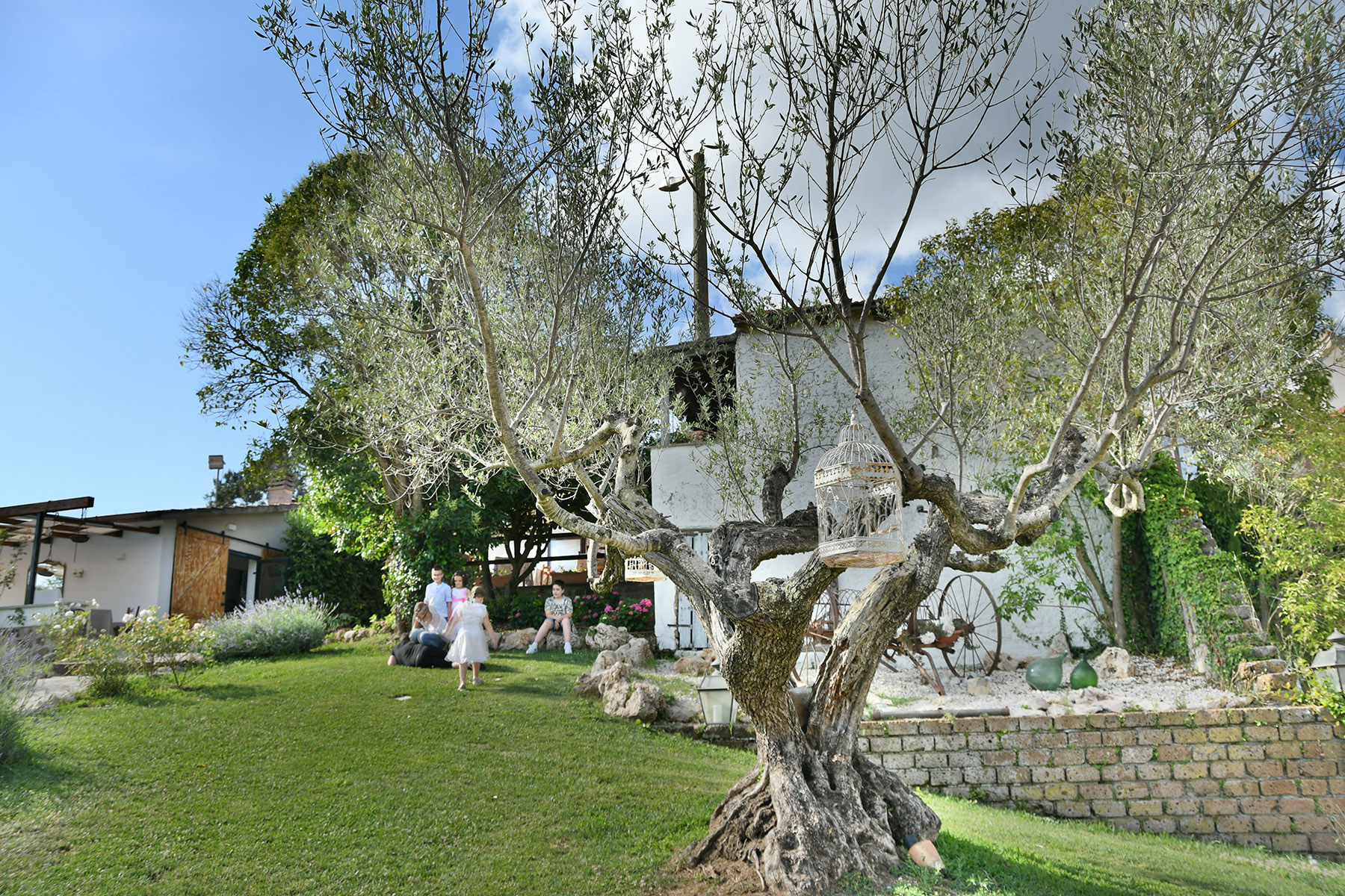 L'ulivo