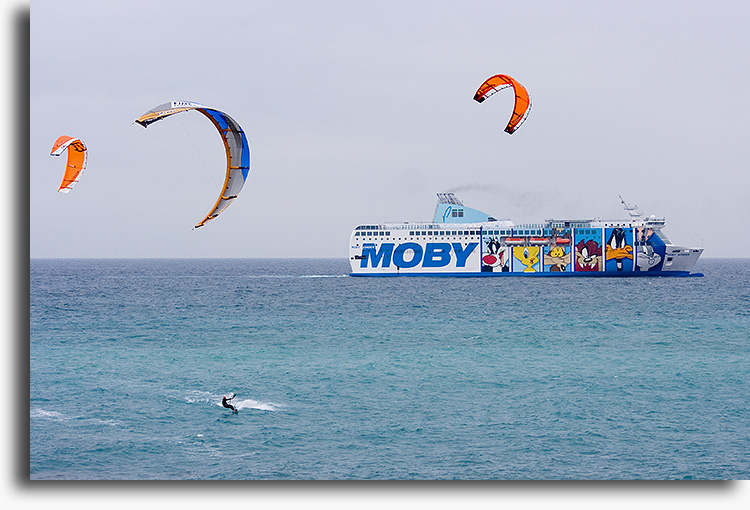 kites and friends