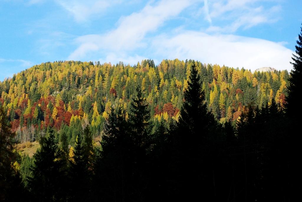 Luci d'autunno 4