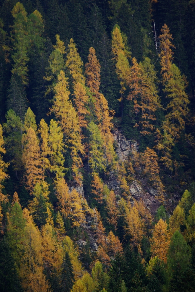 Luci d'autunno 3