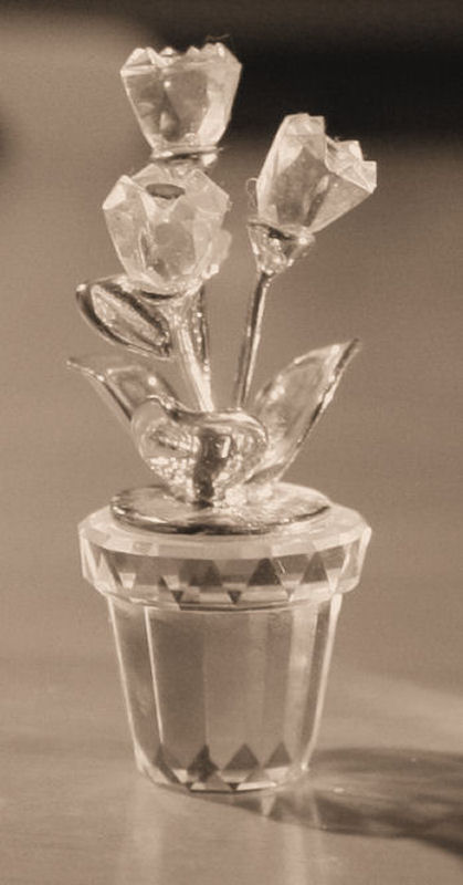 Rose di vetro