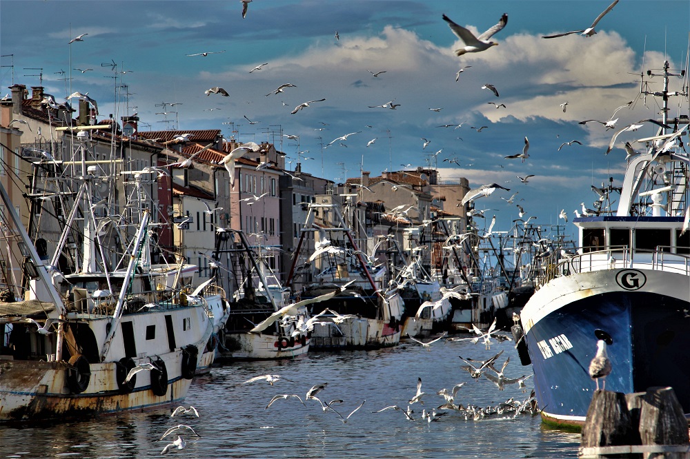 Sea