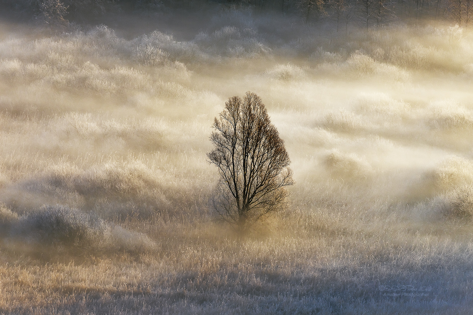 I'm alone (di Dario_db)