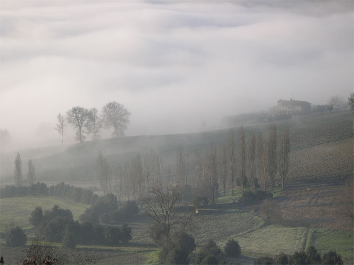 alba nebbiosa