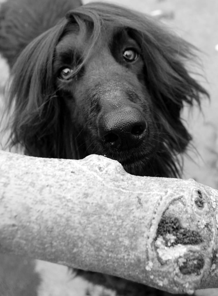 Ti guardo...