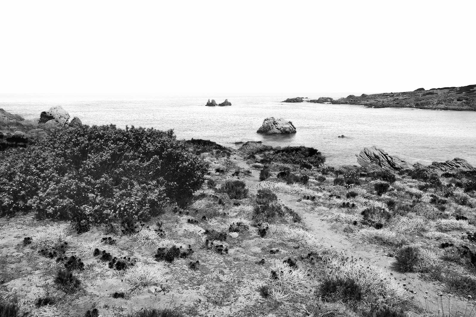 paesaggio bw