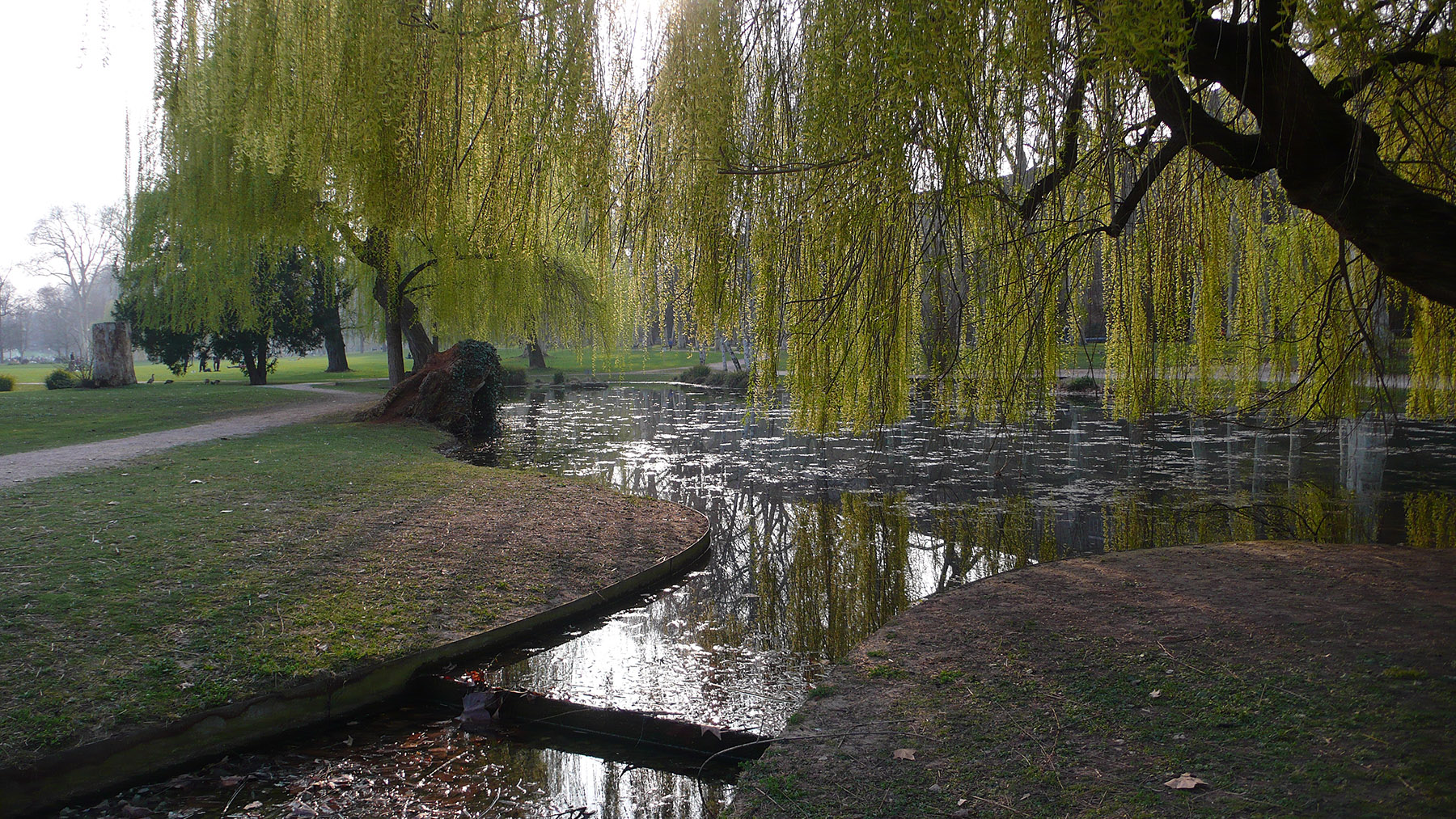 Parco di Stoccarda
