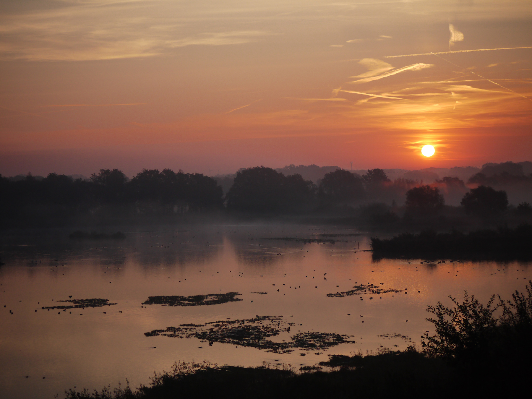 Alba e nebbia
