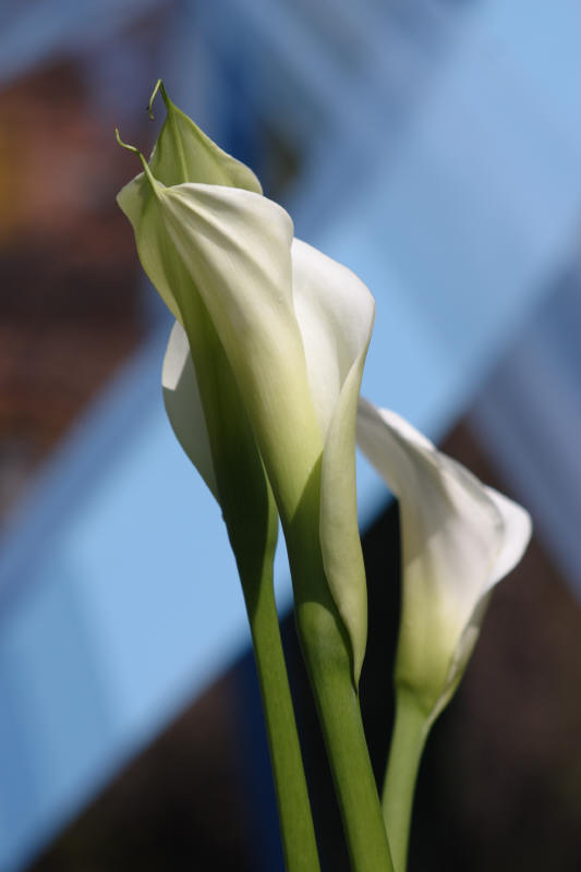 Test 1