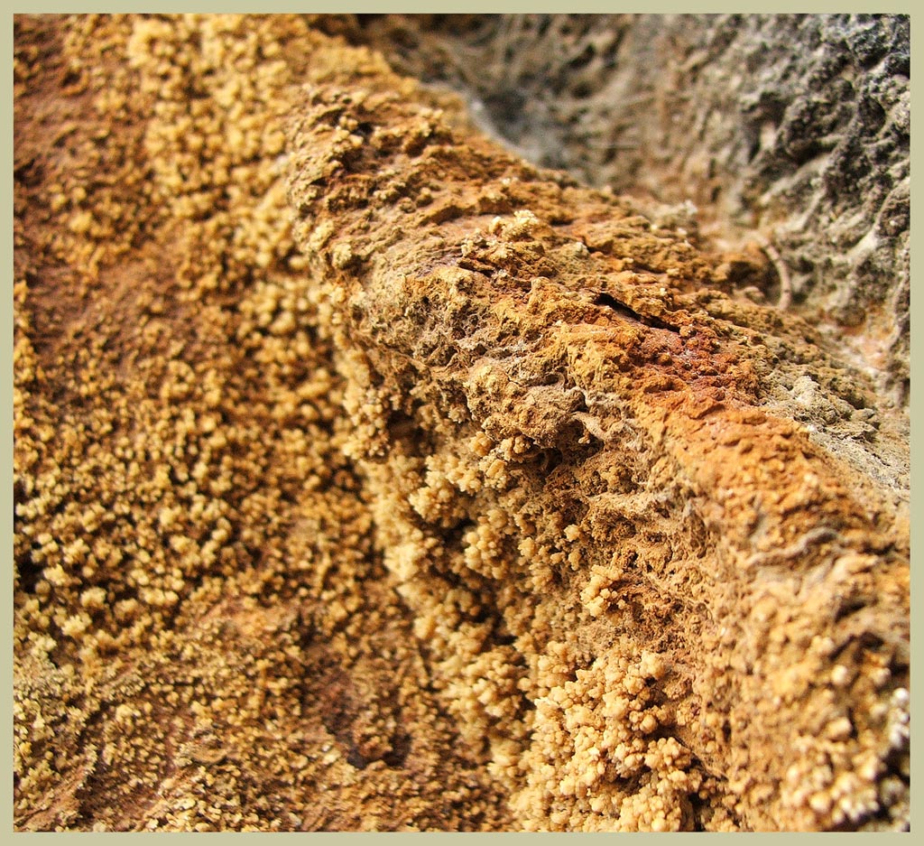 Roccia
