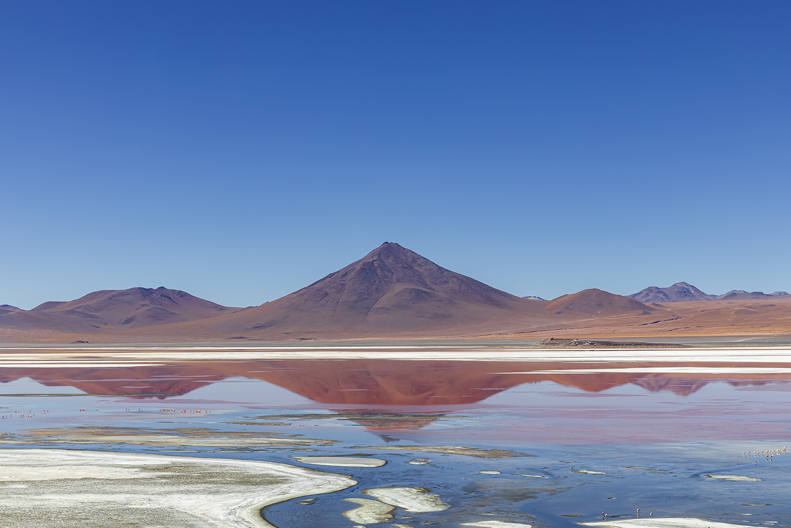Bolivia 2019. Laguna Colorada (di bonomo)