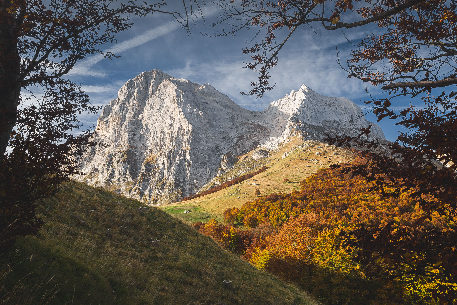 | Autumn window | (di Merola83)