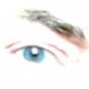 avatar Dario_db