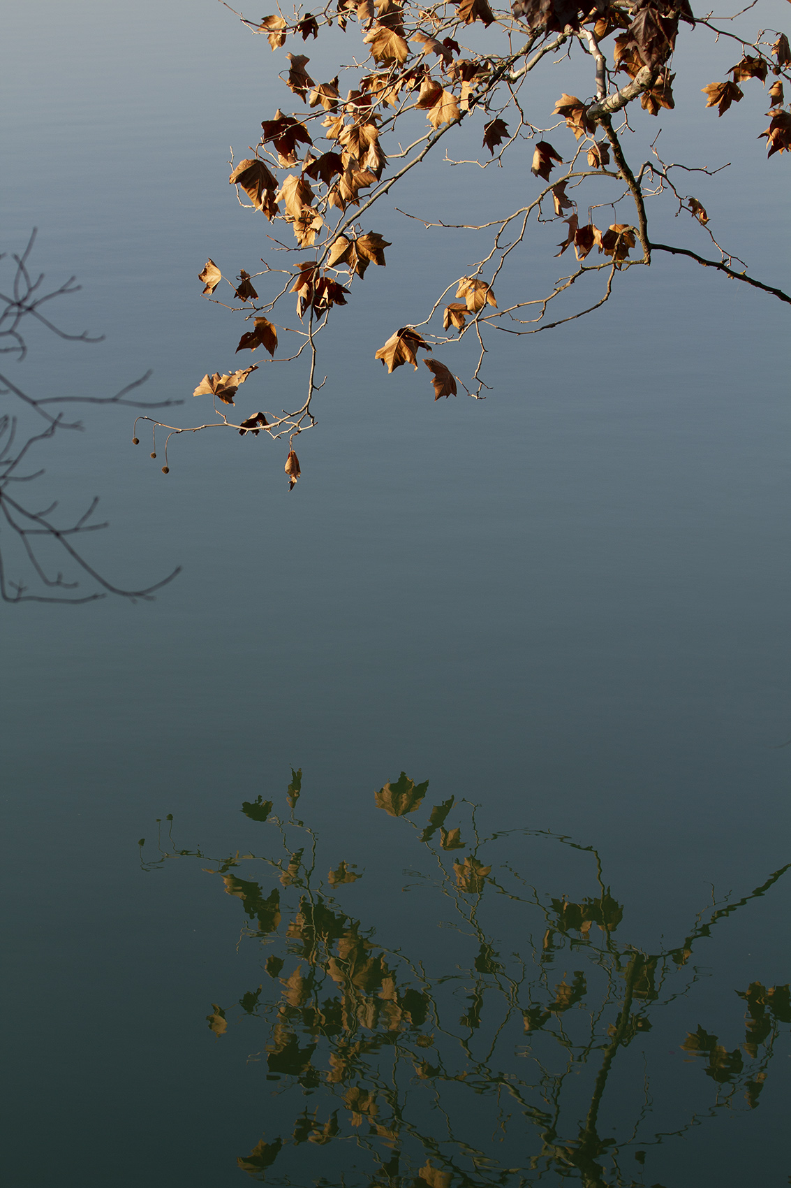 Inverno - riflessi -