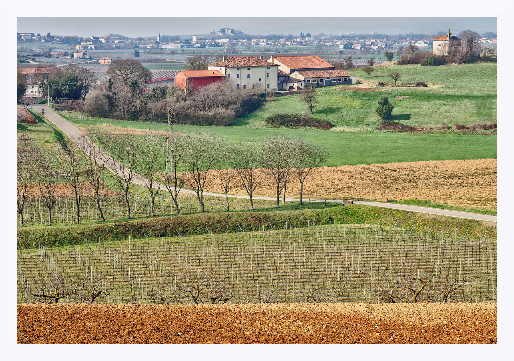 Colli e campagne