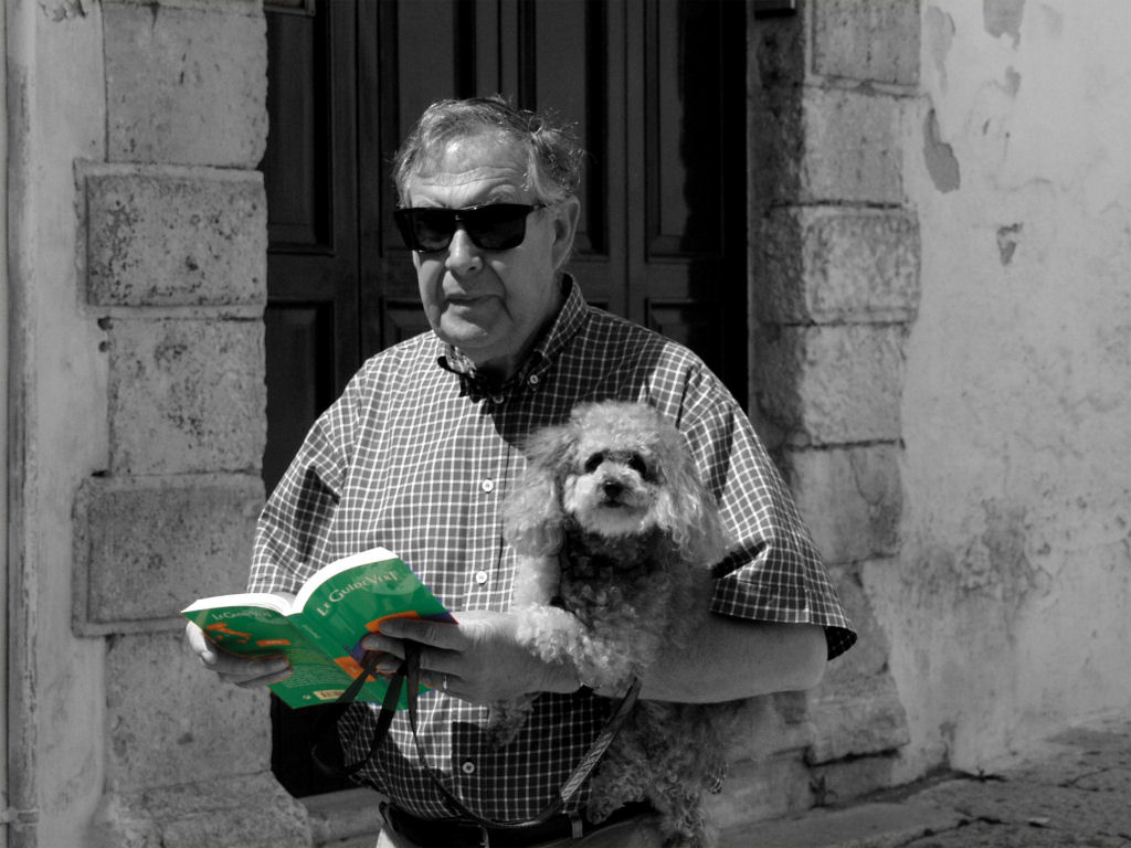 IL LIBRO VERDE