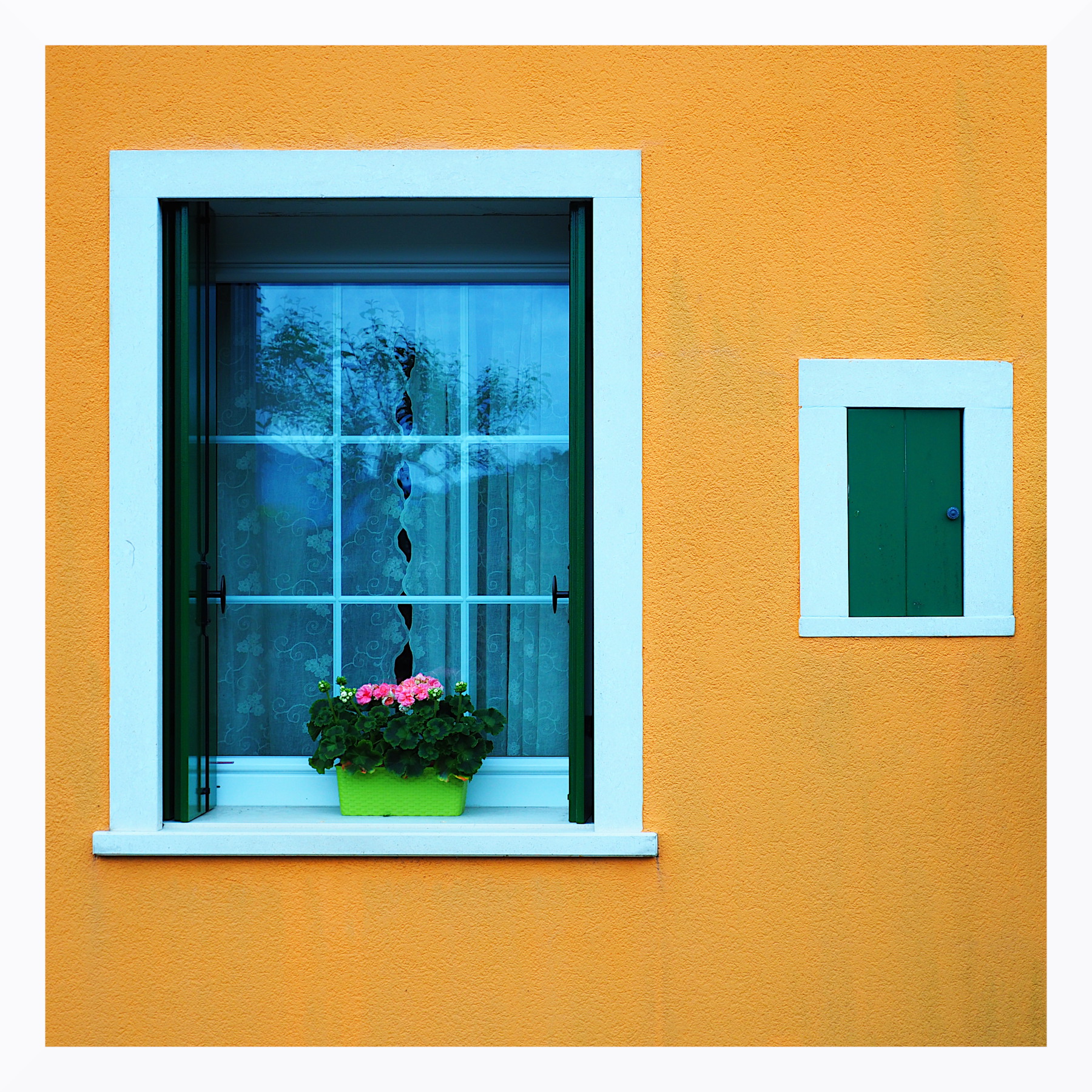Finestra con fiori