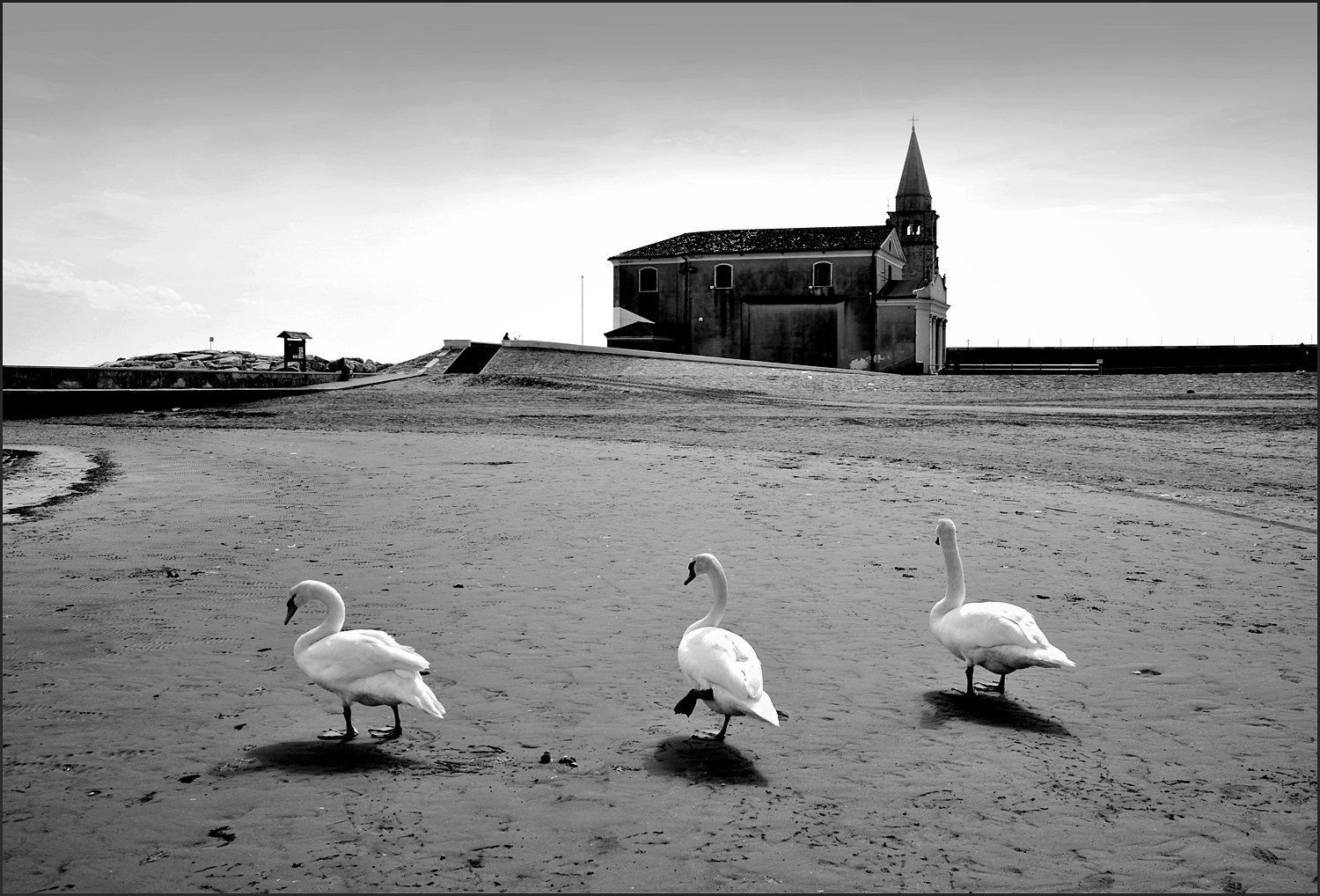 Caorle (di essedi)