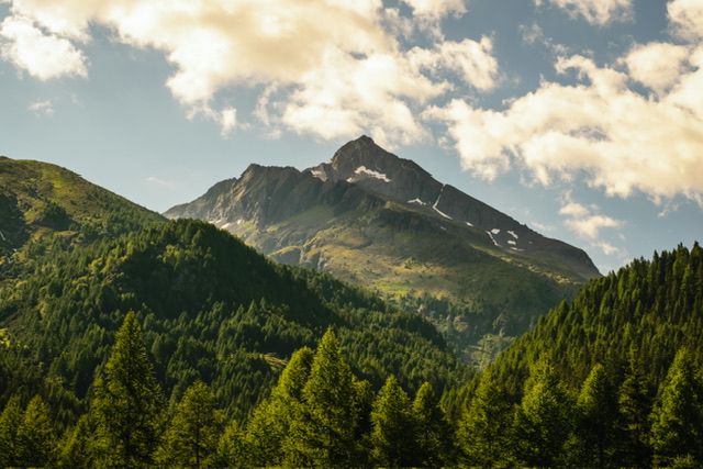 Montagna
