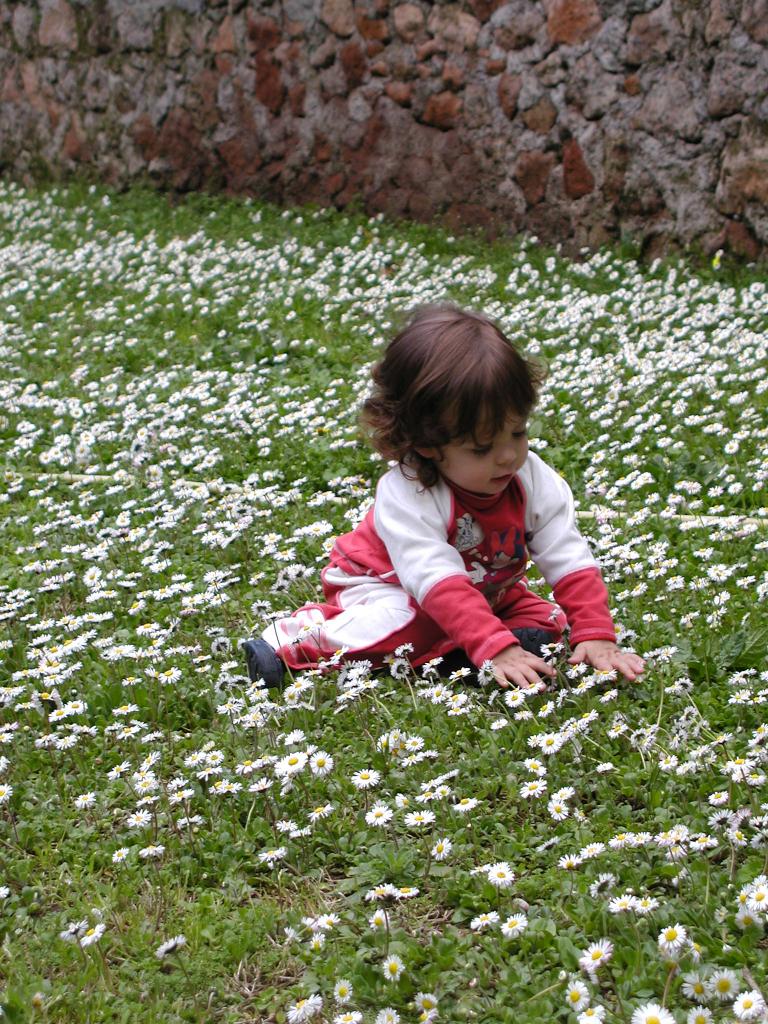primavera