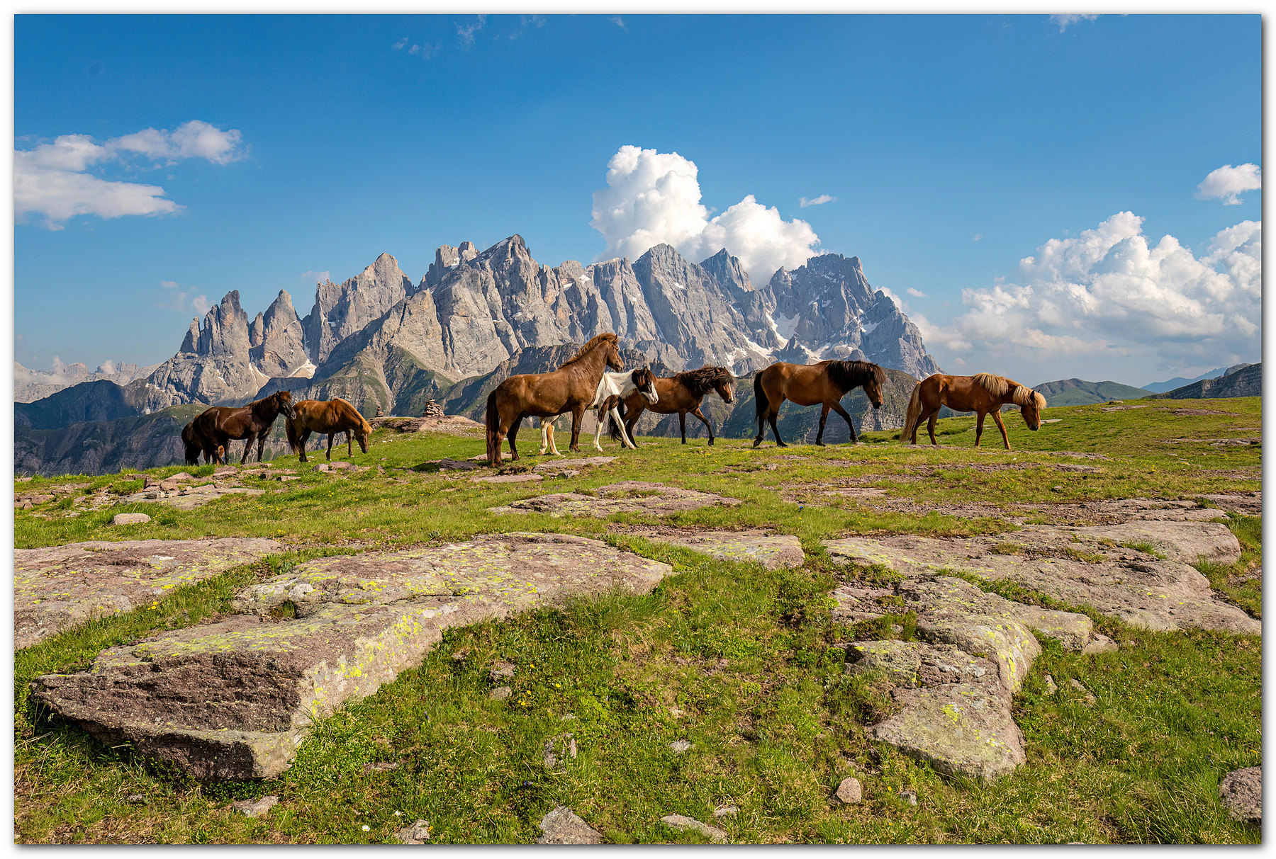 Speriamo che il paradiso sia cos. (di Ivo)
