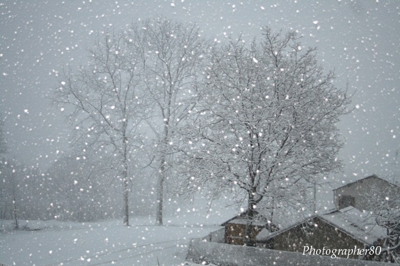 la neve