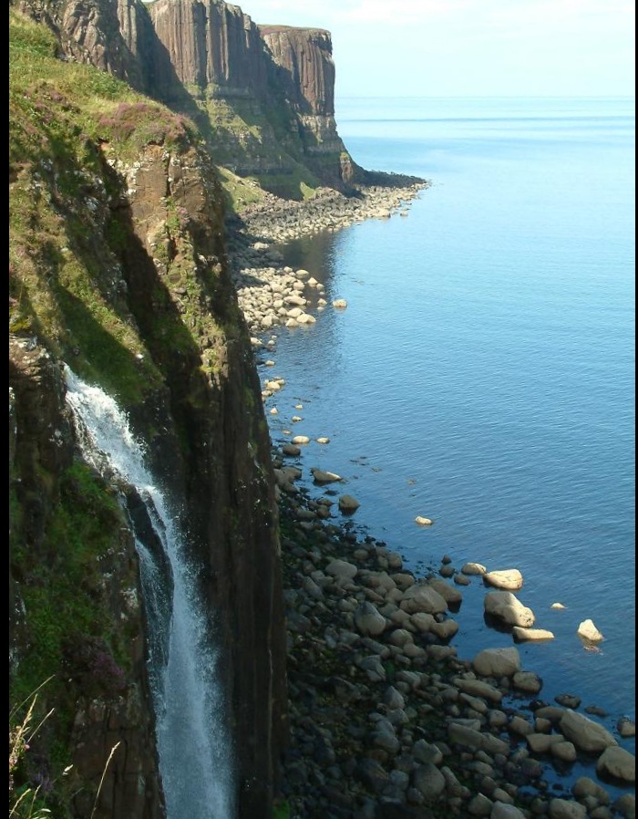 cartolina