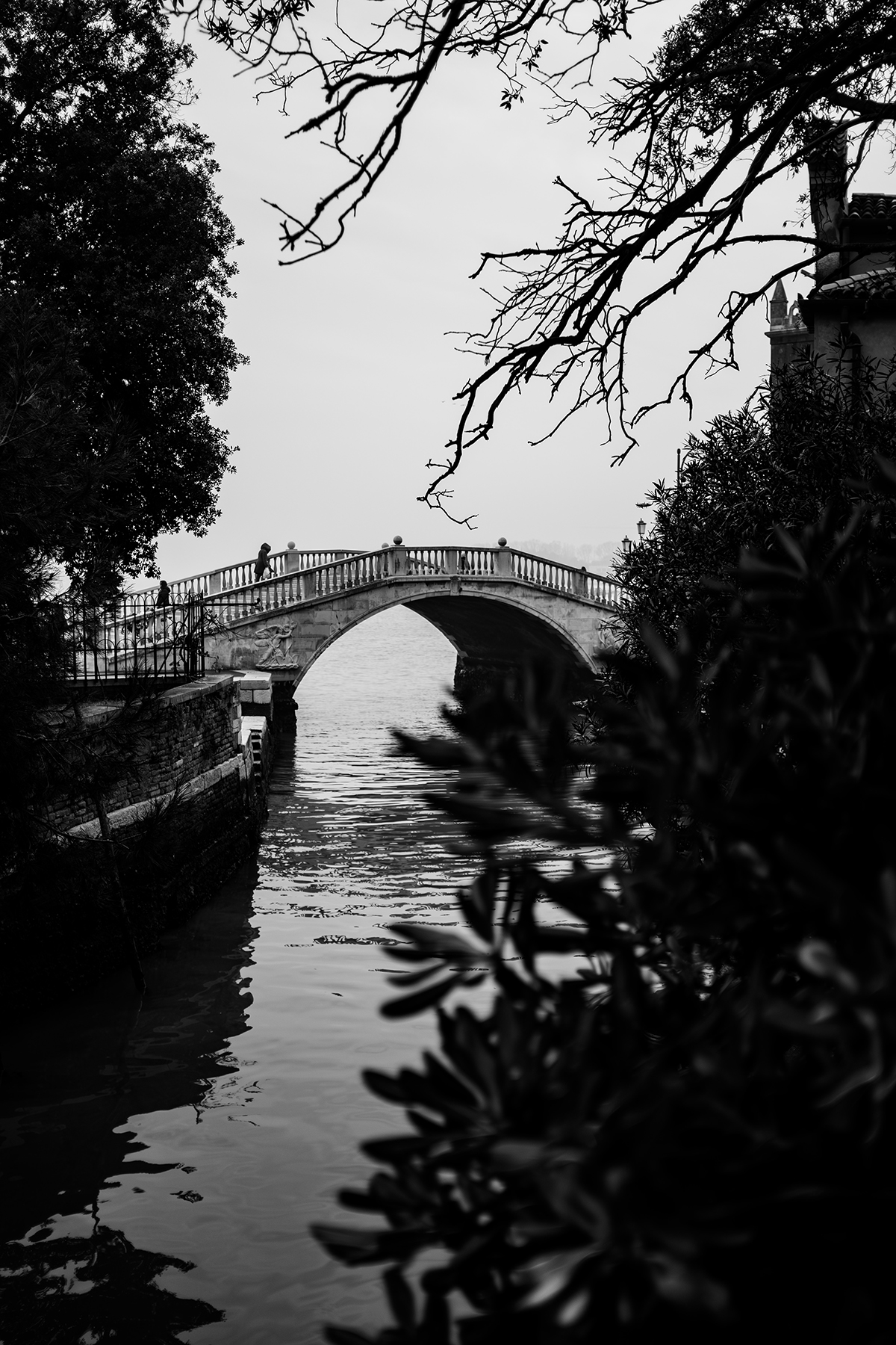 venezia 8