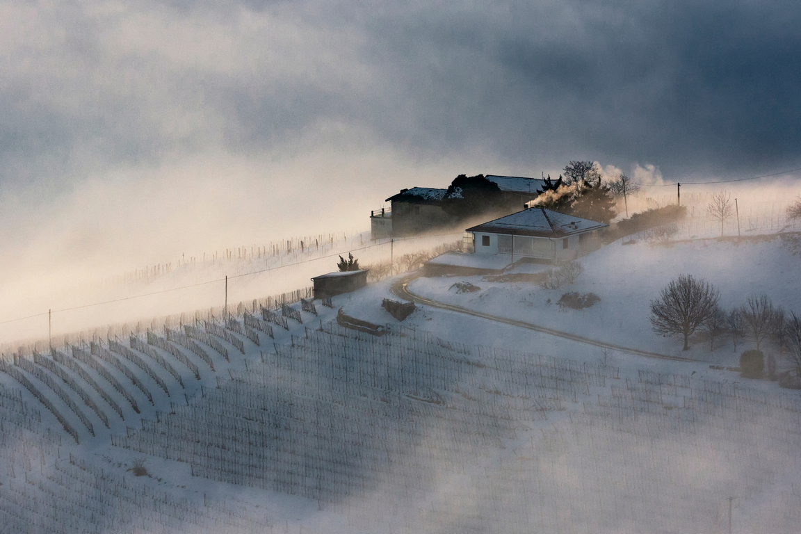 nebbia nelle langhe