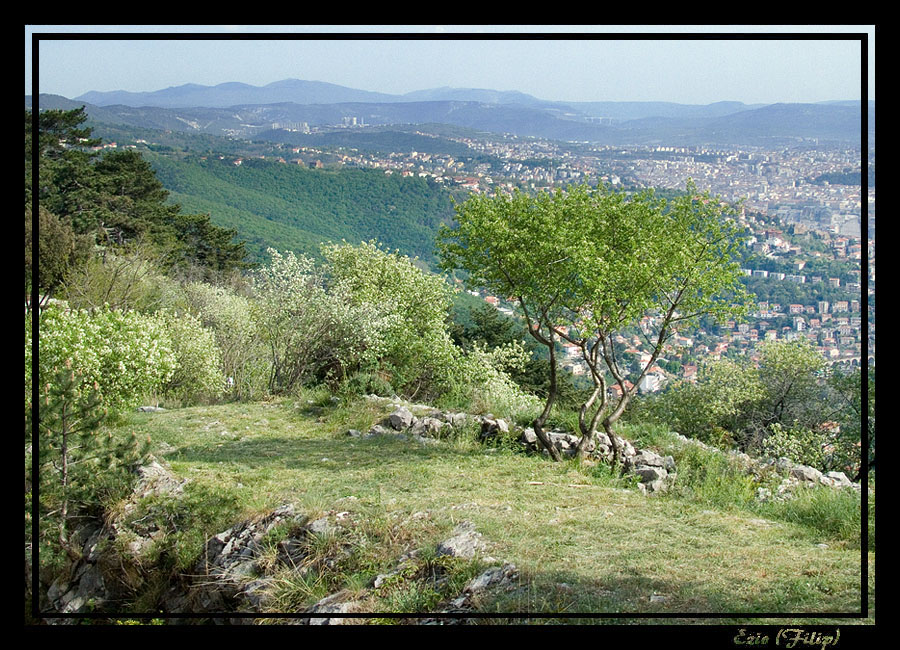 Veduta sopra Trieste