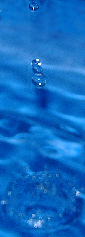 H2O 2