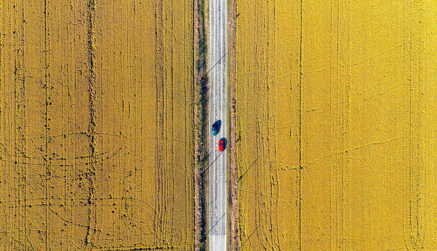 Rosso e blu nel giallo (di cheroz)