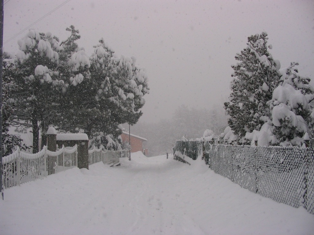 Viale