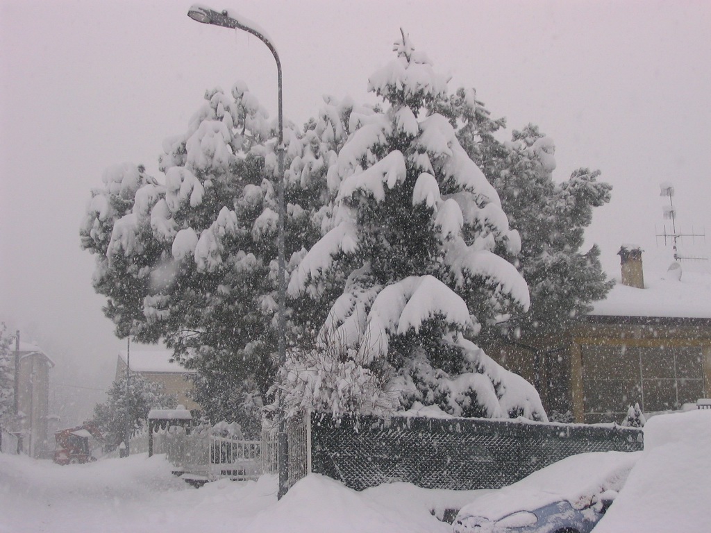 Alberi